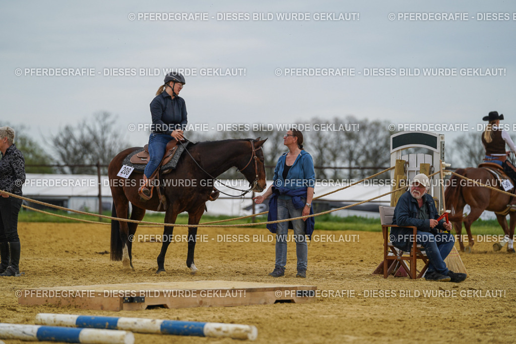 DSC02533 | Pferdegrafie