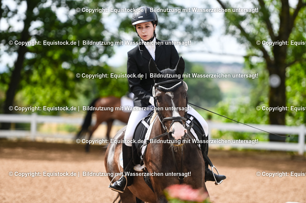 20230716_10-1_Reiter-WB Schritt - Trab - Galopp_0134 | equistock