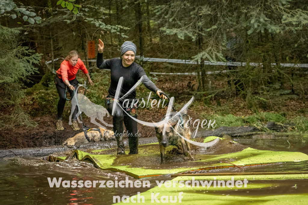 1412_ZZ91508-Bearbeitet | kk-dogfotos