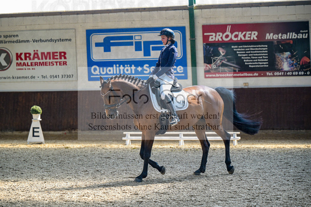 Reitturnier Voxtrup | Entdecke hochwertige Reitturnierfotos von Foto Oger. Professionell, emotional und authentisch – jetzt Lieblingsmomente im Shop bestellen.Deutschlandweite Turnierfotografie. - Realisiert mit Pictrs.com