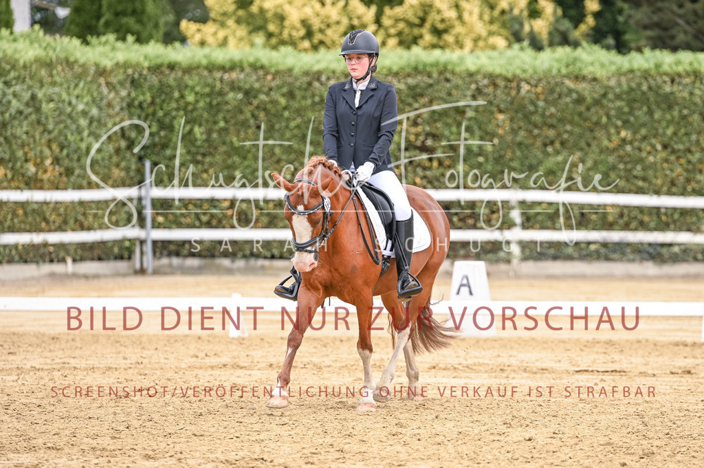 Schugtsche-Aluta25-43.EDressur -137 | Schugtsche Fotografie - Realizzato con Pictrs.com