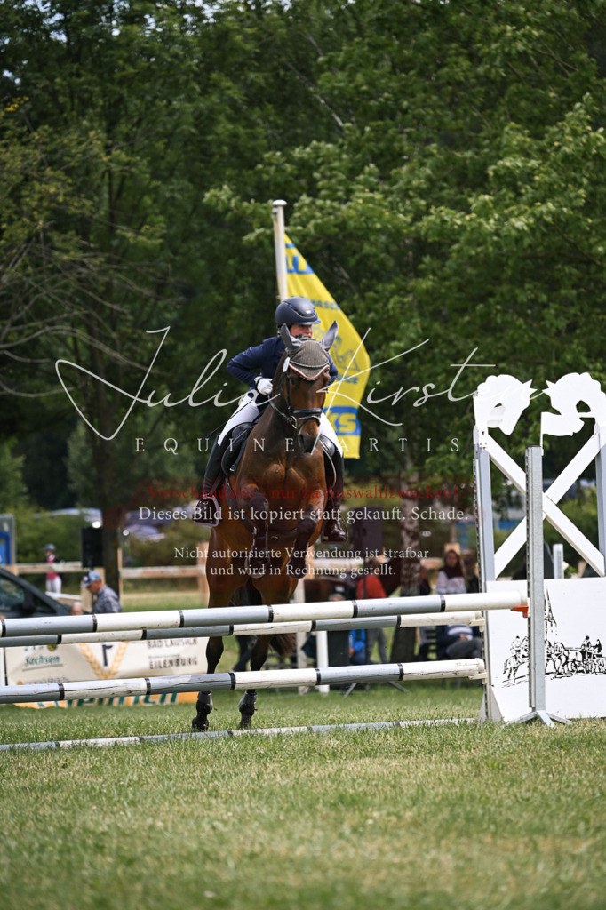DSC_9135 | Pferde- und Turnierfotografie in Westsachsen. Pferdeportraits, Auftragszeichnungen und intuitive Kunst.