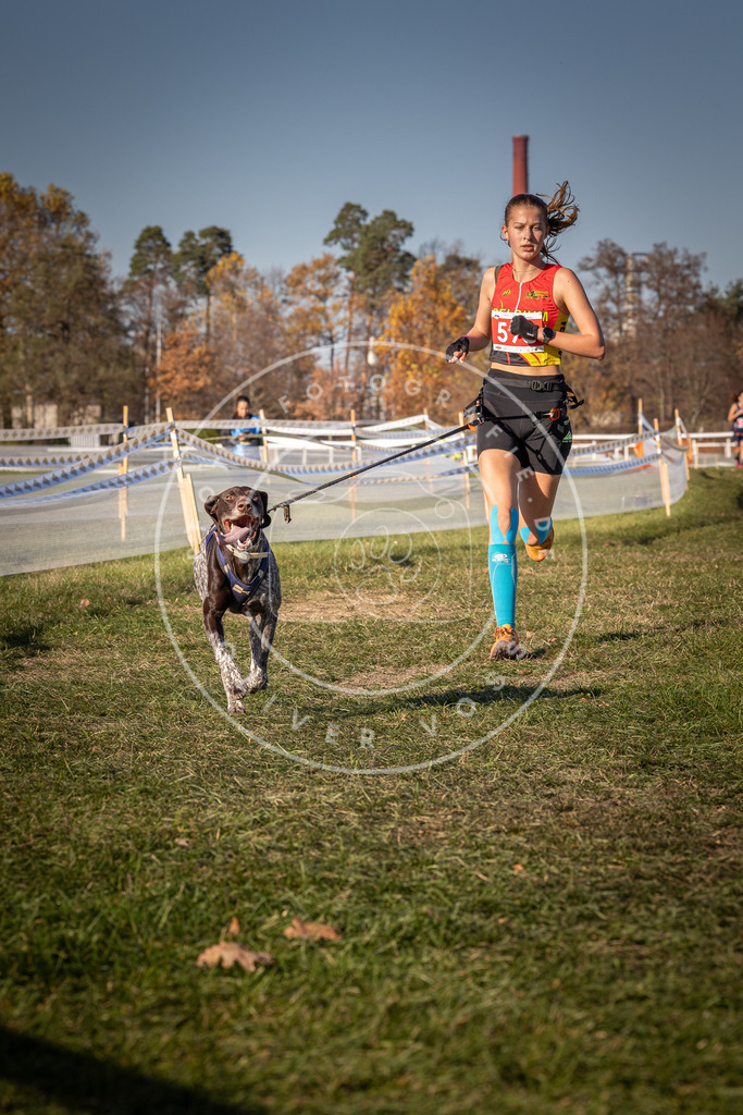 CaniXpix_0L8A8471 | Hundefotografie, Tierfotograf, Pfotenfotografie, Fotoshooting Hund, Hunde Portrait, Hundesport, Hundeportraits, Heideshooting, Hunde, Sportfotograf, Hundefotograf, Turnierhundsport, THS,  - Realisiert mit Pictrs.com