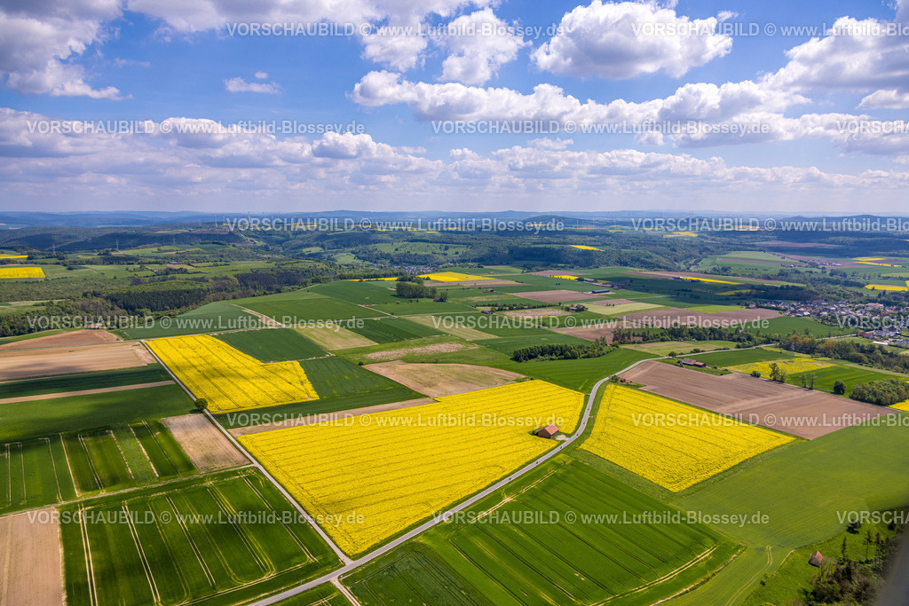 Borgentreich240504930Feldlandschaft | Luftbild, kachelförmige grüne Wiesen und Feldlandschaft mit gelben Rapsfeldern, Natinger Straße mit Motorradfahrer Gruppe und Hütte am Wegesrand, Fernsicht mit blauem Himmel und Wolken, Natingen, Borgentreich, Ostwestfalen, Nordrhein-Westfalen, Deutschland