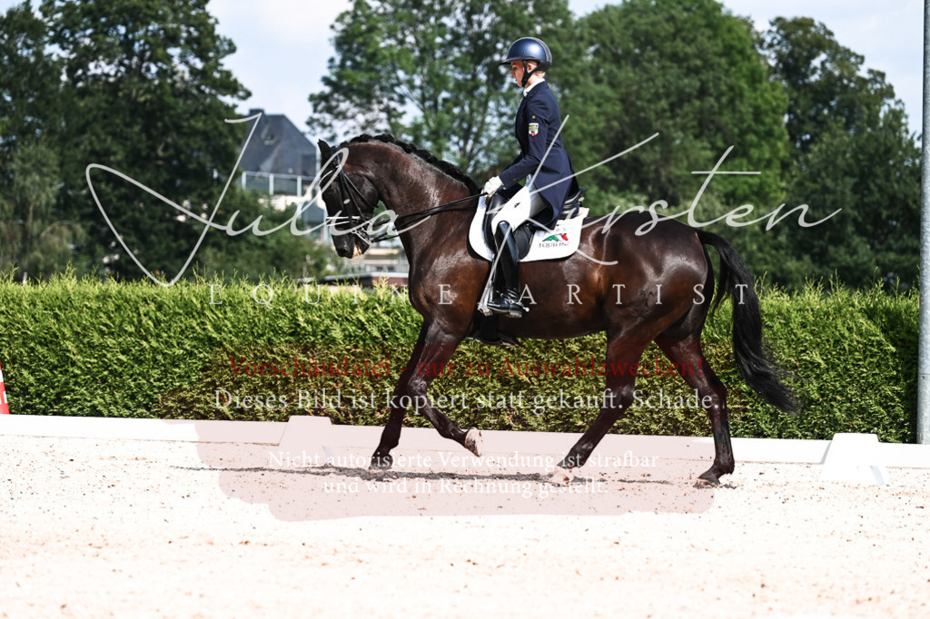 DSC_3167 | Pferde- und Turnierfotografie in Westsachsen. Pferdeportraits, Auftragszeichnungen und intuitive Kunst.