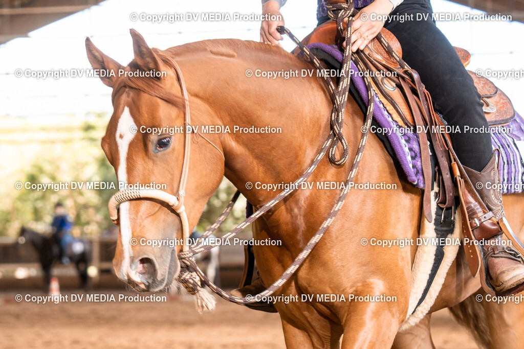 Erbach Tag 1-663 | dv-media-shop - Realisiert mit Pictrs.com