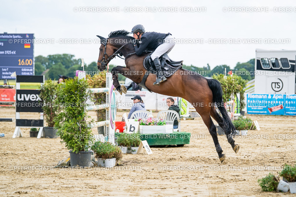 DSC07054 | Pferdegrafie