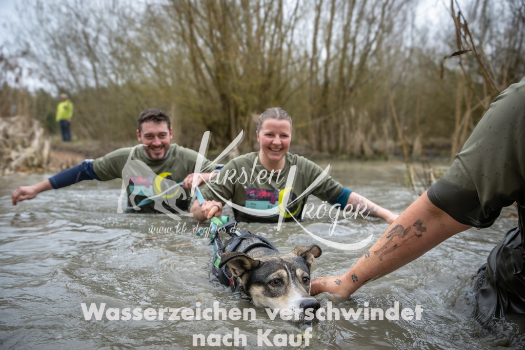 1337_ZZ90976 | kk-dogfotos