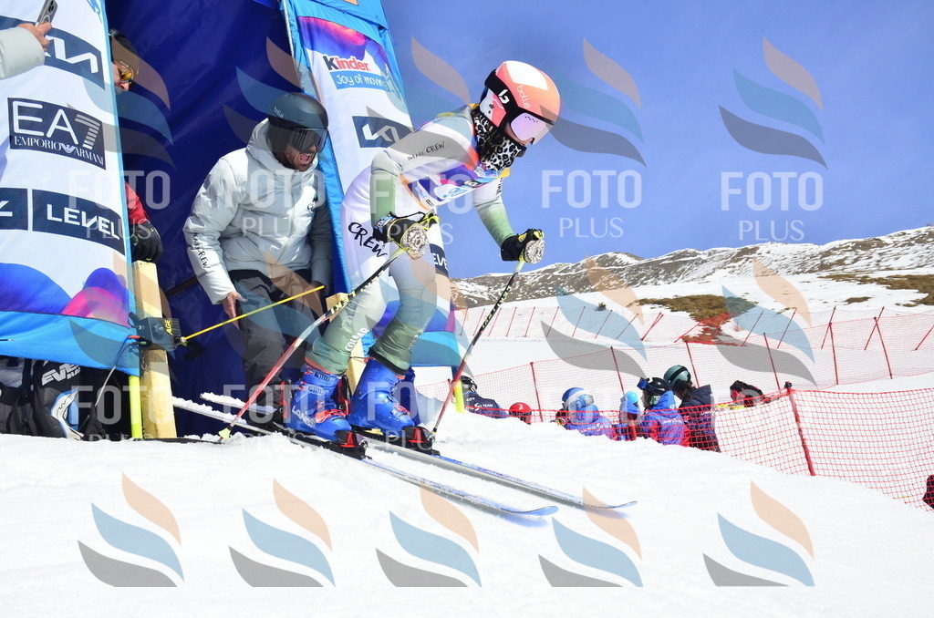 _ELE0490 | holidayphoto