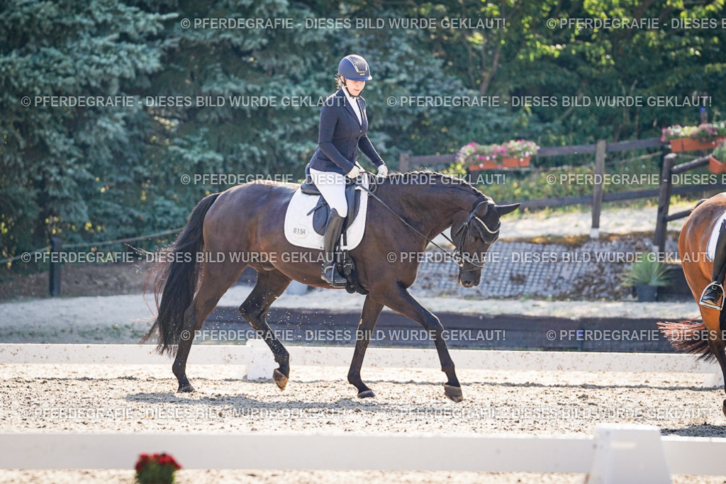 DSC09586 | Pferdegrafie