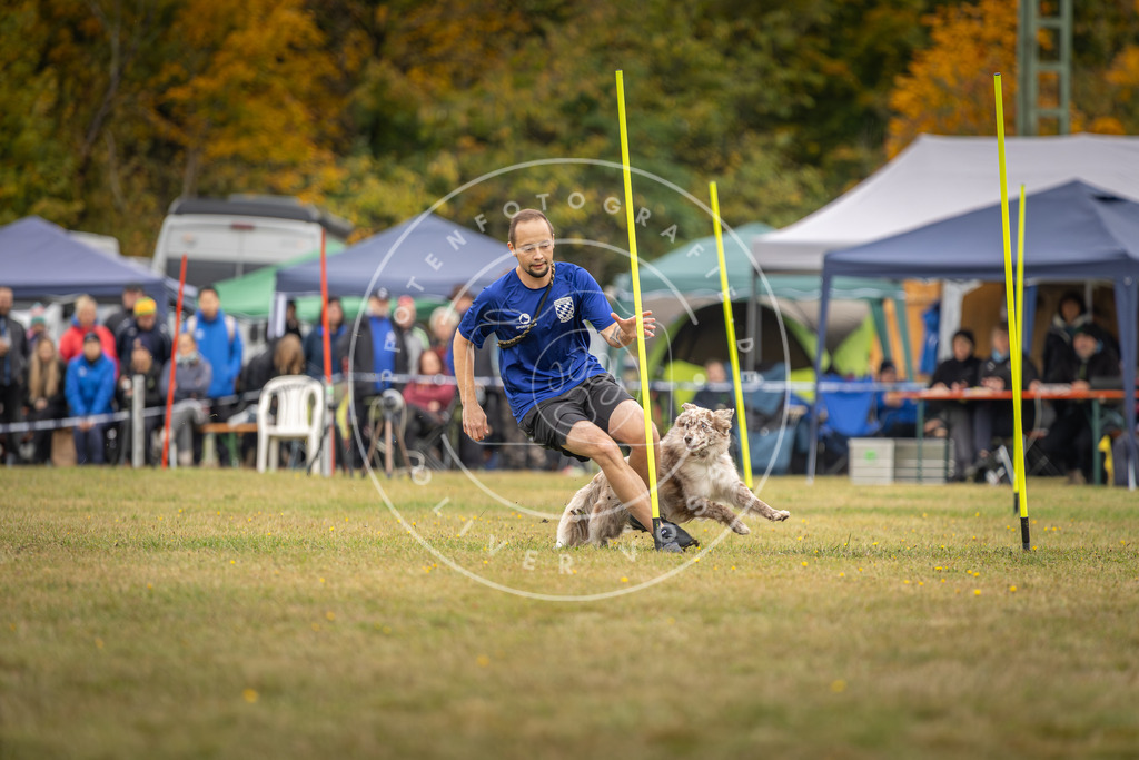 Pfotenfotografie_DV3A5442 | Hundefotografie, Tierfotograf, Pfotenfotografie, Fotoshooting Hund, Hunde Portrait, Hundesport, Hundeportraits, Heideshooting, Hunde, Sportfotograf, Hundefotograf, Turnierhundsport, THS,  - Realisiert mit Pictrs.com