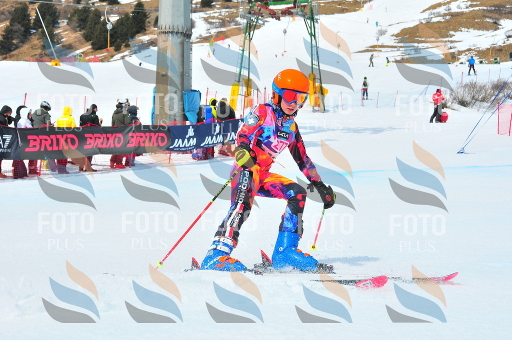 DSC_6341 | holidayphoto