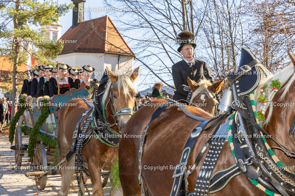 LBT25-1229 | foto-bettina-krinner - Realisiert mit Pictrs.com