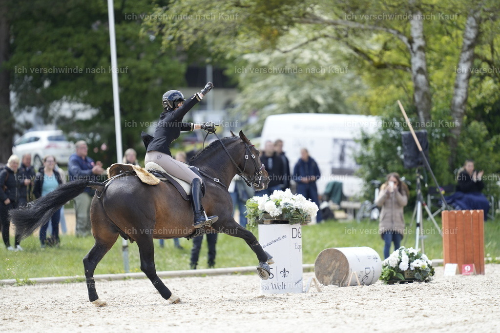 PI26_SP_Stoibphotography_A749097.JPG | working equitationturnier fotograf videograf stoibphotography marixx film working equitation deutschland reitsport turnierfotografie eventfotografie equestrian events