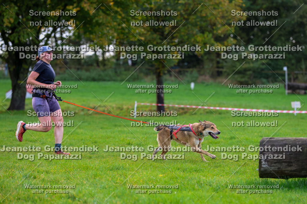 Dog Paparazzi -  SD1026-2246 | Dog Paparazzi Jeanette Grottendiek Fotografie & Videografie - Realisiert mit Pictrs.com
