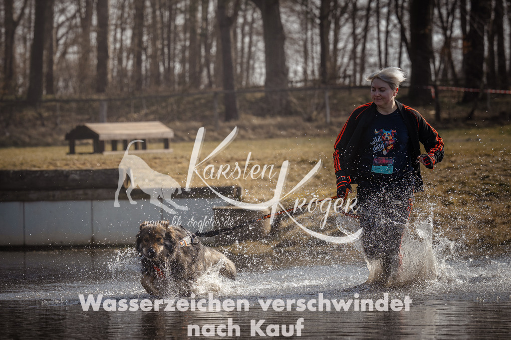1137_ZZ95282 | kk-dogfotos