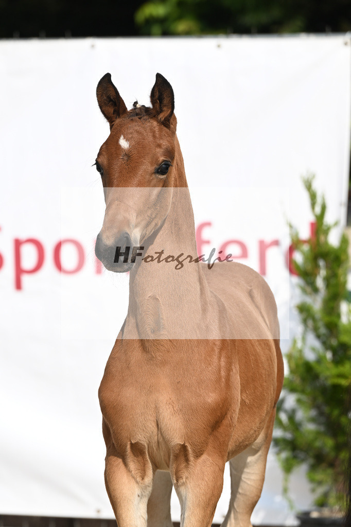 Feliciano x Danone I_SF_Huber_12250096 | hf-fotografie - Realisiert mit Pictrs.com