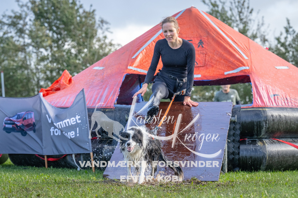 1253-90048 | kk-dogfotos
