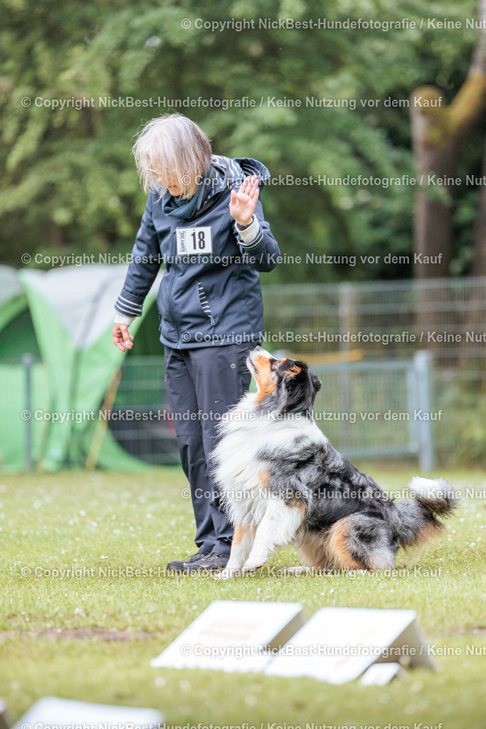 RO-Blumenthal-2026-Nickbest-Hundefotografie-4385 | Dein Hund! Dein Moment! Deine Erinnerungen! Hundefotografie in Bremen Blumenthal. Ich fange die besonderen Momente deines Vierbeiners ein – ob Indoor mit Blitzanlage oder in der freien Natur. Sicher dir dein Moment und dein Termin für eure Erinnerungen.