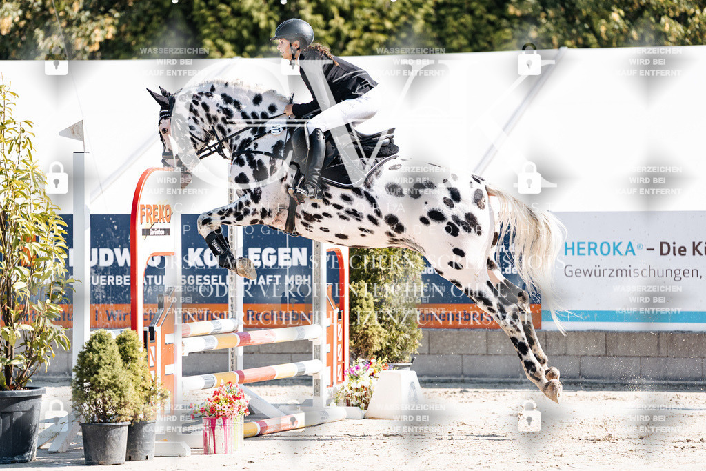 CK905017 | Turnierfotografie Pferdefotografie Trier Rheinland-Pfalz Pferdesport Reitsport Tierfotografie Sportfotografie Pferdevideo Pferdevideografie Equestrianvideography equestrianphotography  - Realisiert mit Pictrs.com