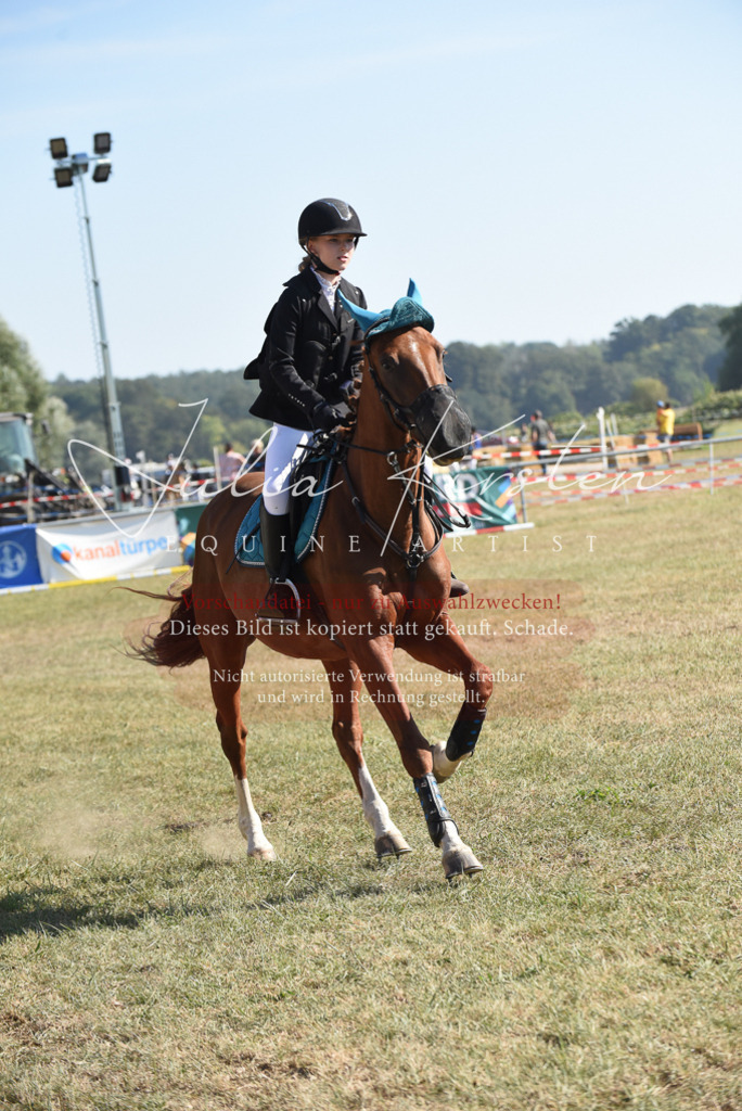 DSC_6055 | Pferde- und Turnierfotografie in Westsachsen. Pferdeportraits, Auftragszeichnungen und intuitive Kunst.