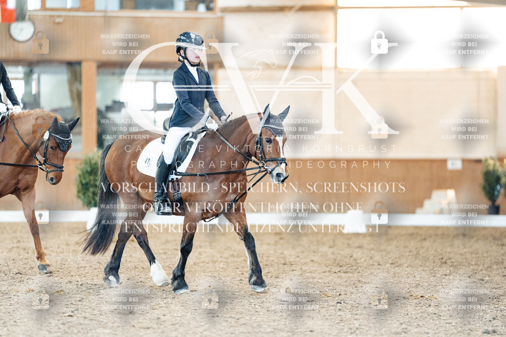 CK907833 | Turnierfotografie Pferdefotografie Trier Rheinland-Pfalz Pferdesport Reitsport Tierfotografie Sportfotografie Pferdevideo Pferdevideografie Equestrianvideography equestrianphotography  - Realized with Pictrs.com