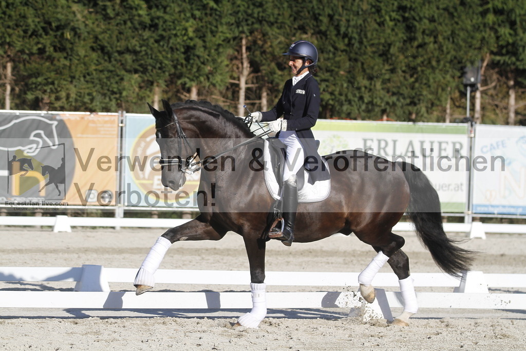 _MG_2845 | equestrian-live-com