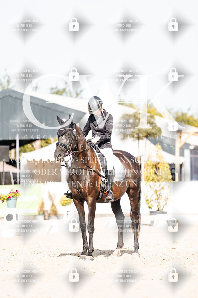 CK905559 | Turnierfotografie Pferdefotografie Trier Rheinland-Pfalz Pferdesport Reitsport Tierfotografie Sportfotografie Pferdevideo Pferdevideografie Equestrianvideography equestrianphotography  - Realisiert mit Pictrs.com