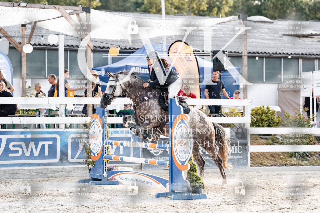 CK907020 | Turnierfotografie Pferdefotografie Trier Rheinland-Pfalz Pferdesport Reitsport Tierfotografie Sportfotografie Pferdevideo Pferdevideografie Equestrianvideography equestrianphotography  - Realisiert mit Pictrs.com