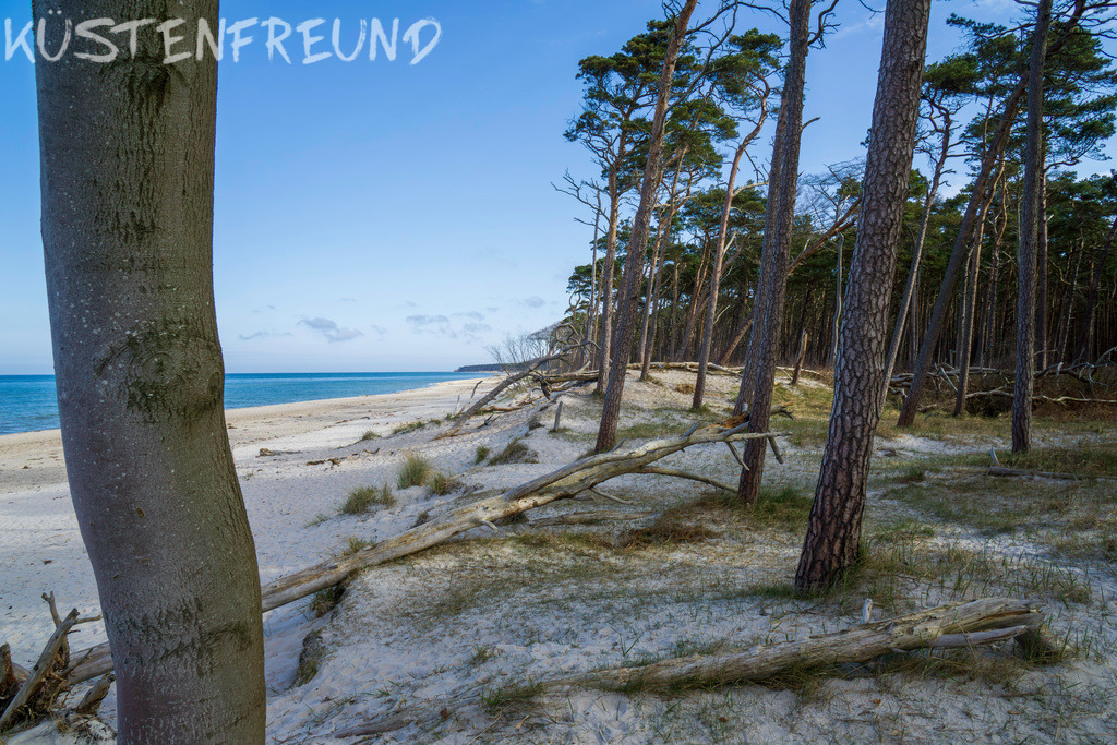 DSC6101 | Entdecke deine Lieblingslandschaft von der Küste – auf Ostsee Leinwand, Nordsee Leinwand, Alu Dibond oder Acrylglas, passend für jeden Geschmack und Raum.