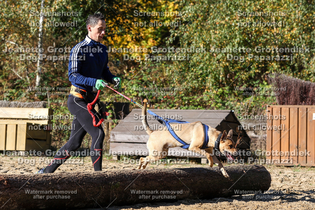 Dog Paparazzi - Strongdog 10-25-2557 | Dog Paparazzi Jeanette Grottendiek Fotografie & Videografie - Realisiert mit Pictrs.com