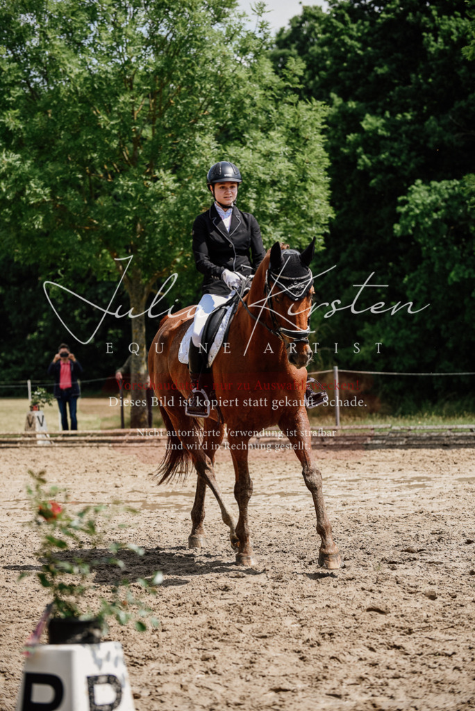 DSC_1382 | Pferde- und Turnierfotografie in Westsachsen. Pferdeportraits, Auftragszeichnungen und intuitive Kunst.