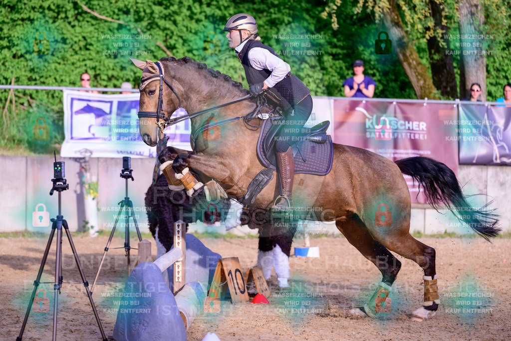 02052026-Giesenbach-03-Speedtrail-0967 | Fokus Hufschlag Fotografie - Realisiert mit Pictrs.com