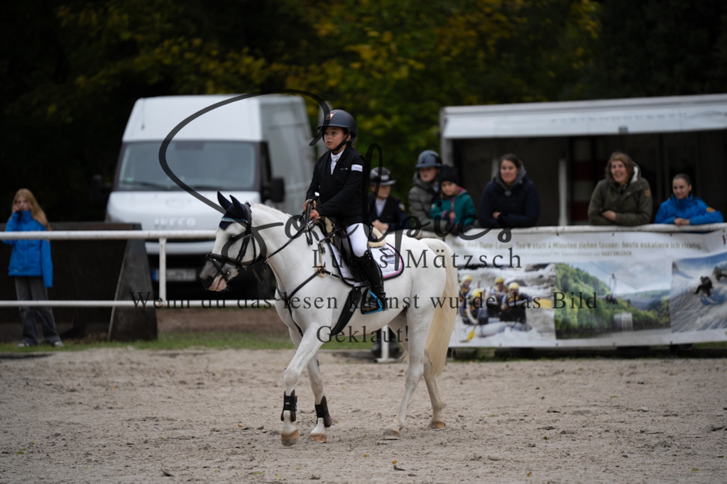 A7V08431 | Pferdefotograf