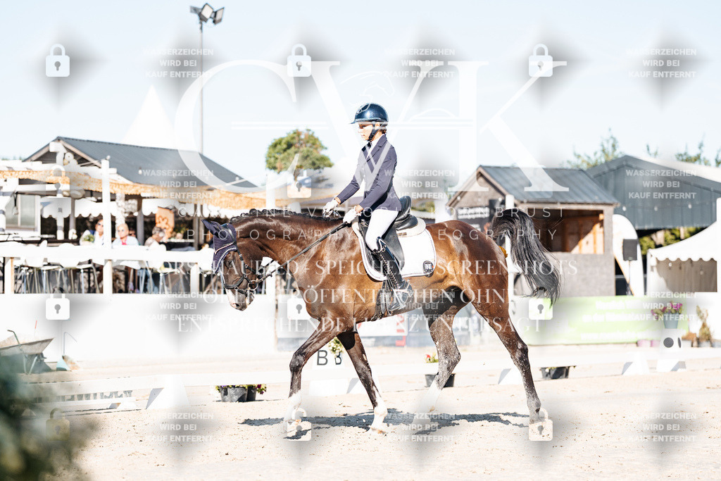 CK907428 | Turnierfotografie Pferdefotografie Trier Rheinland-Pfalz Pferdesport Reitsport Tierfotografie Sportfotografie Pferdevideo Pferdevideografie Equestrianvideography equestrianphotography  - Realisiert mit Pictrs.com