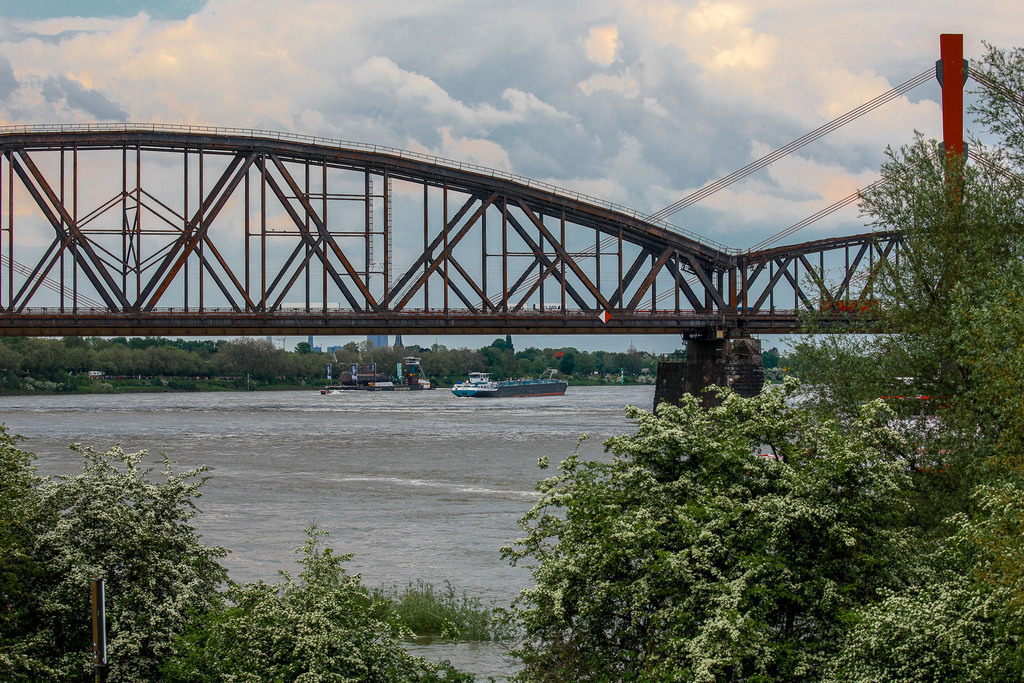 U17_AufdemRhein_120523_08 | Bildergalerie von Sport-Ereignissen aber auch von weiteren spannenden Dingen - nicht nur vom Niederrhein. In Anlehnung an den bekannten Spruch von Hanns Dieter Hüsch heißt das Motto: "Niederrhein ist überall".  - Realisiert mit Pictrs.com