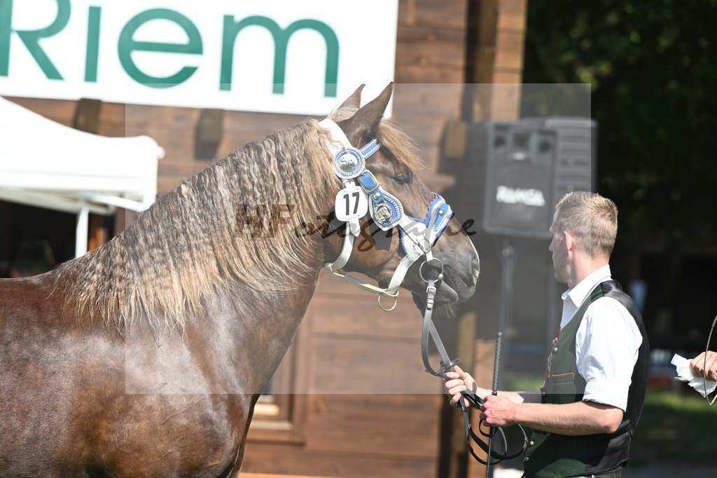 Kat-Nr. 17 Ekaterina_Himmelstoss_20230259 | hf-fotografie - Realisiert mit Pictrs.com