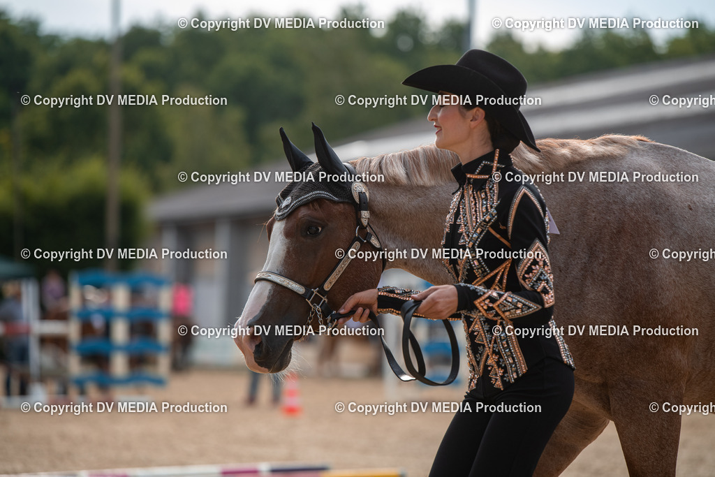 EWP_5619 | dv-media-shop - Realisiert mit Pictrs.com