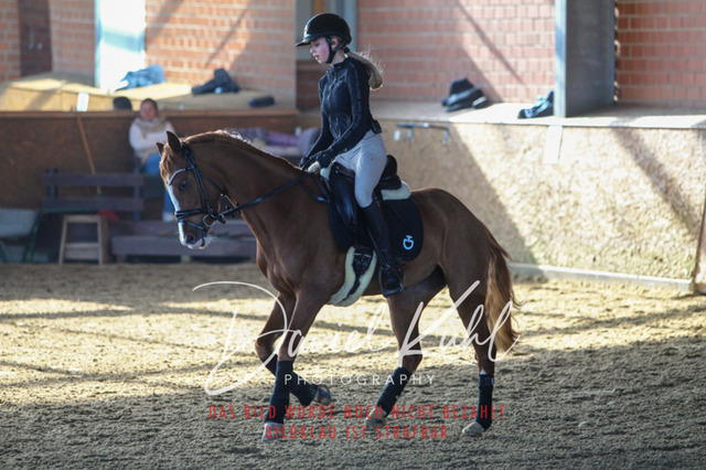 DKP42168 | Turniersportfotografie; Pferdefotografie; Dressurfotografie