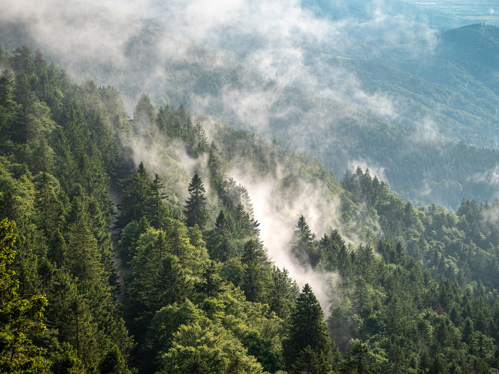 Nebel im Schwarzwald | Nebel zieht über die Berghänge am Schauinsland bei Freiburg - Realisiert mit Pictrs.com