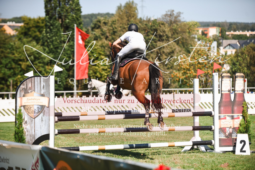 DSC_2809 | Pferde- und Turnierfotografie in Westsachsen. Pferdeportraits, Auftragszeichnungen und intuitive Kunst.