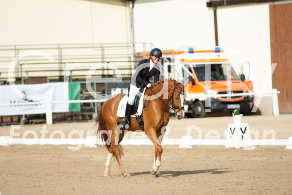 IMG_0785 | Creatify Fotografie