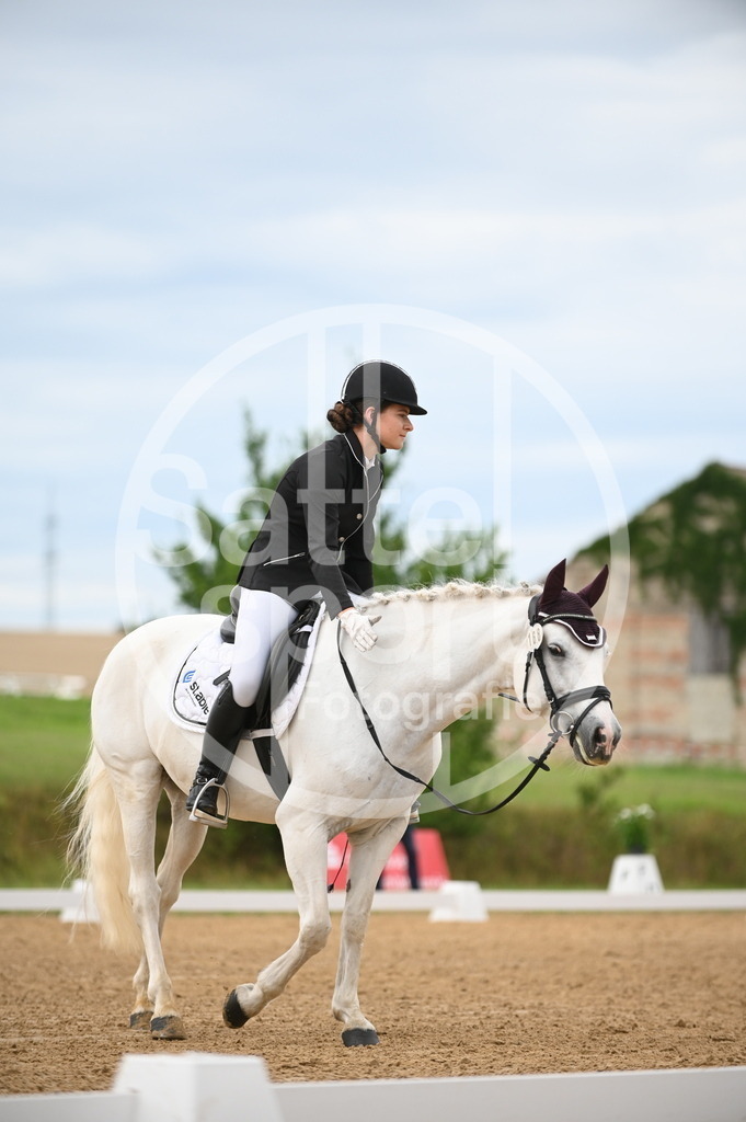 DSC_4621 | sattelsport - Realisiert mit Pictrs.com