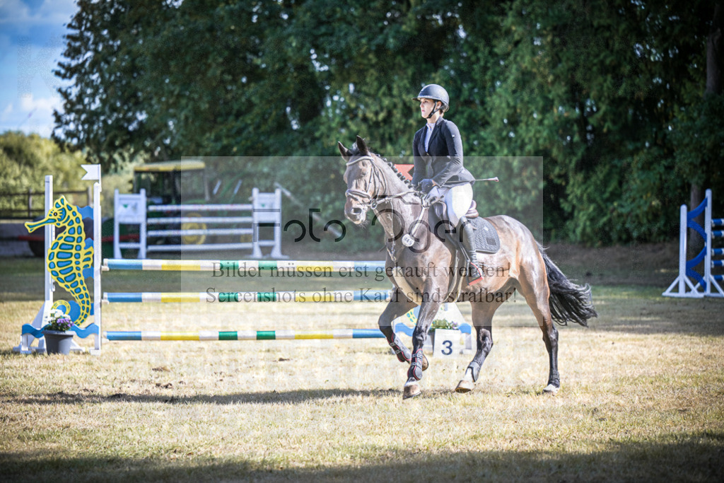 DOS_0864 | Entdecke hochwertige Reitturnierfotos von Foto Oger. Professionell, emotional und authentisch – jetzt Lieblingsmomente im Shop bestellen.Deutschlandweite Turnierfotografie. - Realisiert mit Pictrs.com