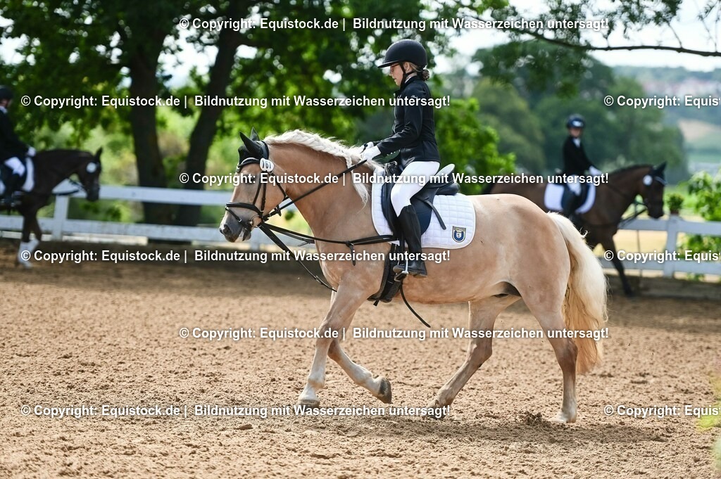20230716_10-3_Reiter-WB Schritt - Trab - Galopp_0100 | equistock