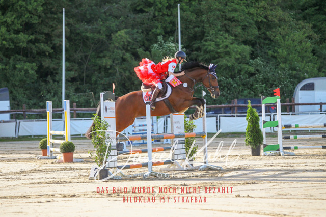 DKP45146 | Turnierfotos kaufen im Webshop von Daniel Kuhl Photography – entdecke professionelle Reitsportfotos aus Turnieren & Events. Hochwertige Turnierbilder online bestellen & sichern. Jetzt Fotos von Reitsportturnieren kaufen!