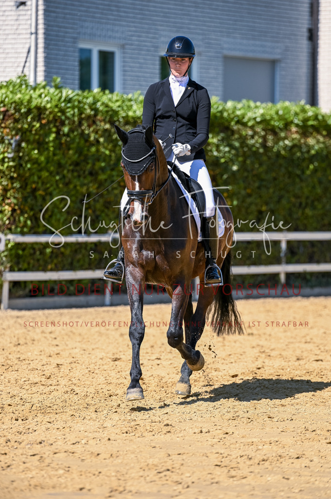 Schugtsche-Aluta25-50.Dressurpferdeprf.L-61 | Schugtsche Fotografie - Realisiert mit Pictrs.com