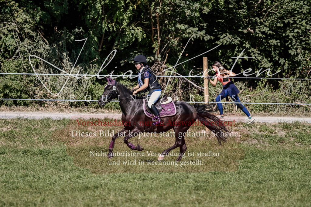 DSC_1927 | Pferde- und Turnierfotografie in Westsachsen. Pferdeportraits, Auftragszeichnungen und intuitive Kunst.