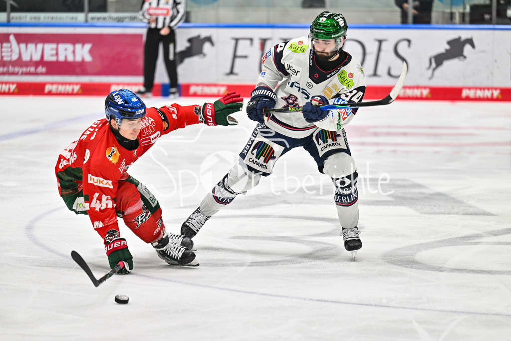 Augsburger Panther - Eisbären Berlin | AUGSBURG, GERMANY - 27. JANUARY: im Duell Moritz ELIAS (Augsburger Panther 46) und Liam KIRK (Eisbären Berlin 94) während dem Match zwischen den Augsburger Panthern und den Fischtown Pinguins am 43. Spieltag der Penny DEL im Curt Frenzel Stadion