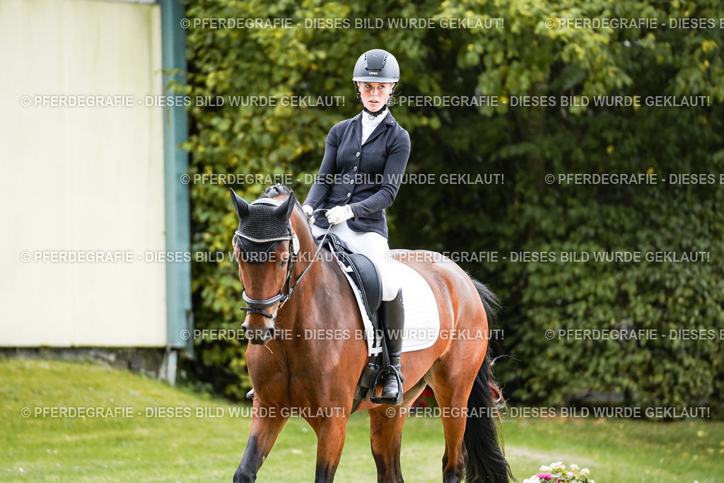 DSC06350 | Pferdegrafie